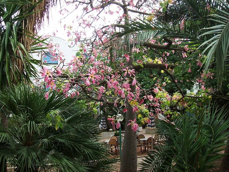 Hotel Azzolini Villagrazia Di Carini Esterno foto
